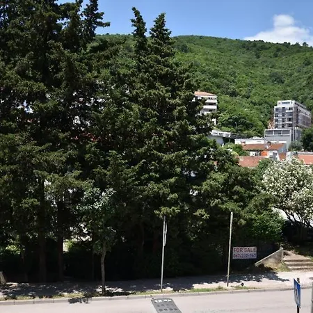 Dimitrije *